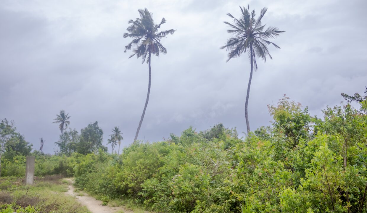 _MG_8727 (1)